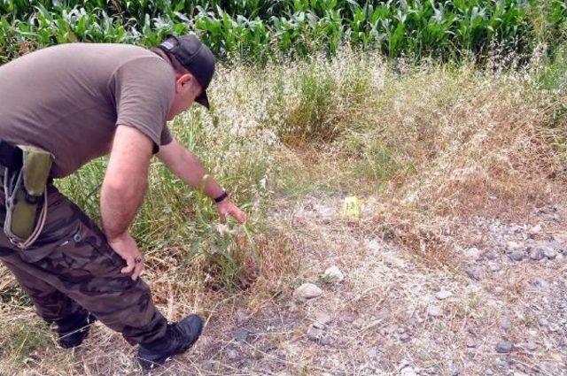 Osmaniye de Bı&ccedil;aklı, Silahlı Kavgta: 1 &Ouml;l&uuml;, 3 Yaralı 3