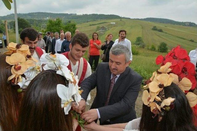 Körfez, Altın Kiraz Festivali’ne Hazırlanıyor