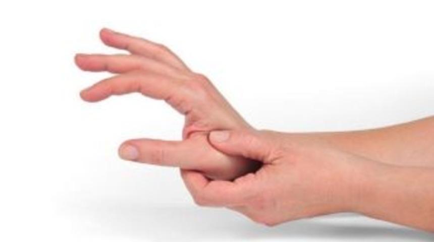 Dr. Şent&uuml;rk: "elde Oluşan Sorunları &Ouml;nemseyin"