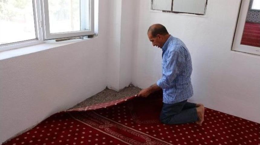 Haliliye Belediyesi&rsquo;nden İbadethane Ve Taziye Evlerine Halı D&ouml;şemesi