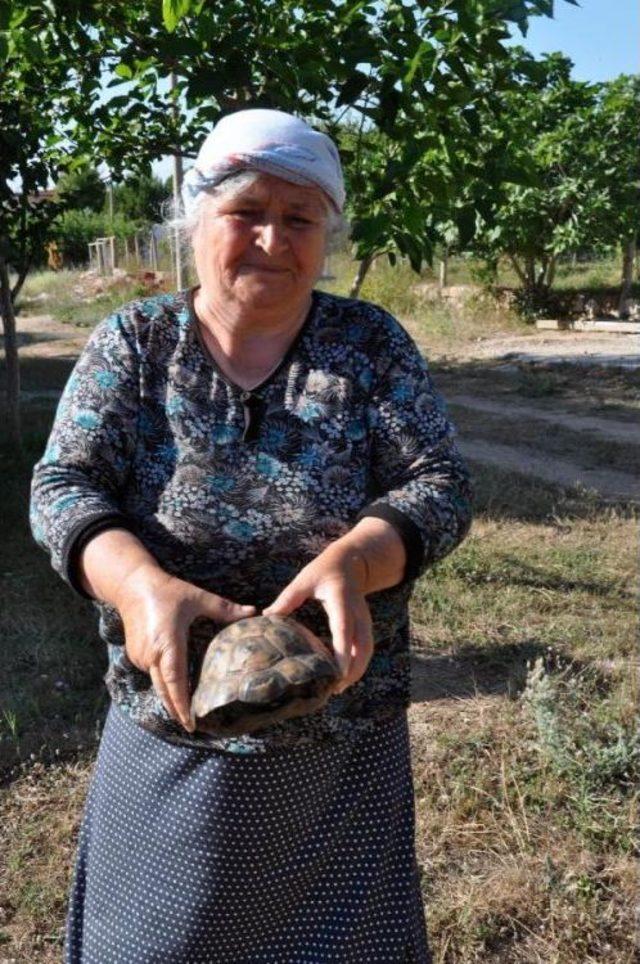 Makilik Alanda Yangın: 30 Hektar Zarar Gördü