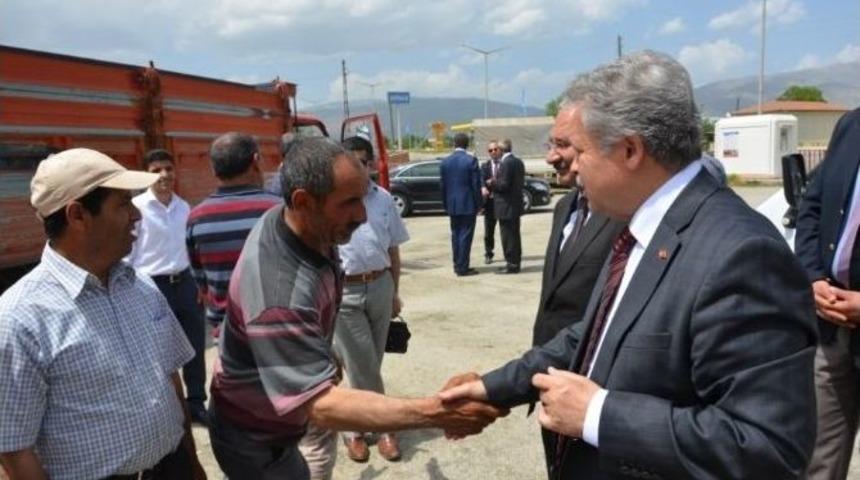 Damızlık Boğalar Kurayla &Ccedil;ift&ccedil;ilere Dağıtıldı