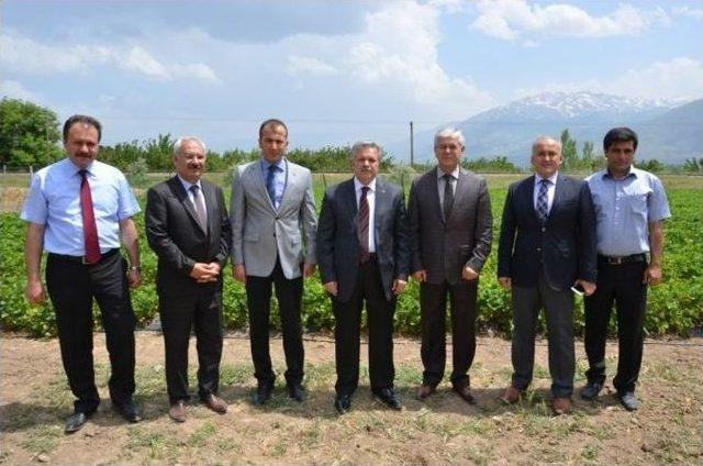 Doktor Arılar Projesi Meyvesini Verdi