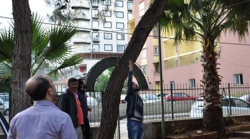 İki G&uuml;nd&uuml;r Ağa&ccedil;ta Mahsur Kedi Kurtarıldı