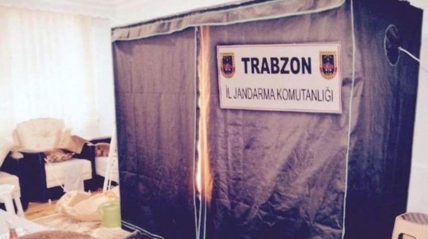 Bez Dolapta Kenevir Yetiştirmek İ&ccedil;in Herşeyi D&uuml;ş&uuml;nm&uuml;ş