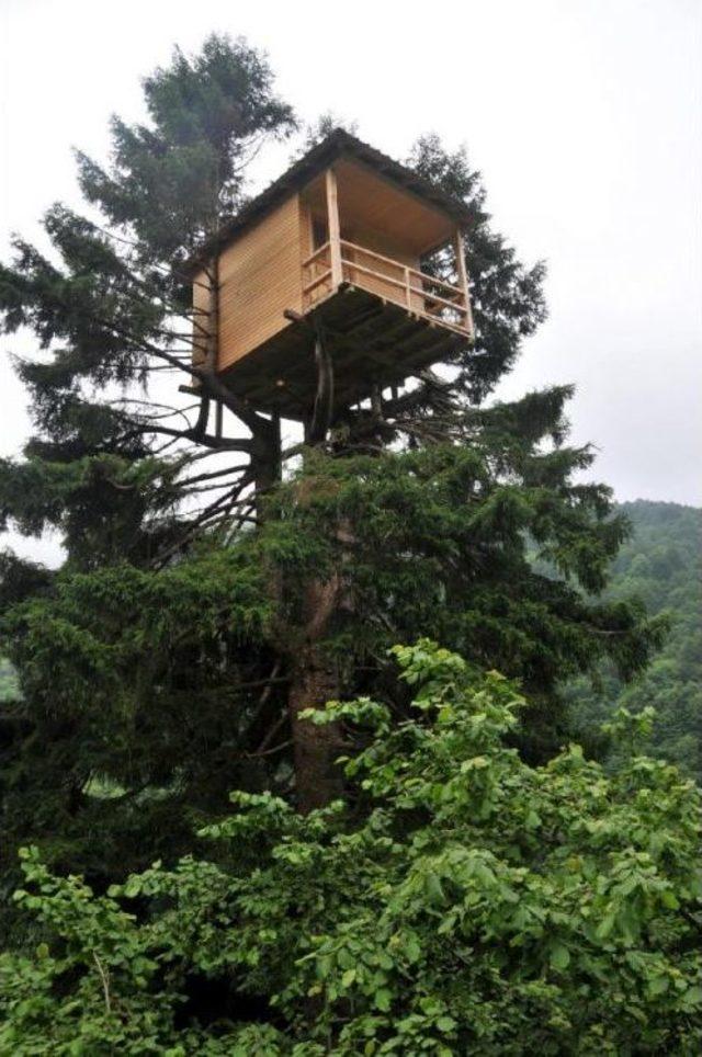 Rizeli Ilgin&ccedil; Yapılarda Sınır Tanımıyor 1