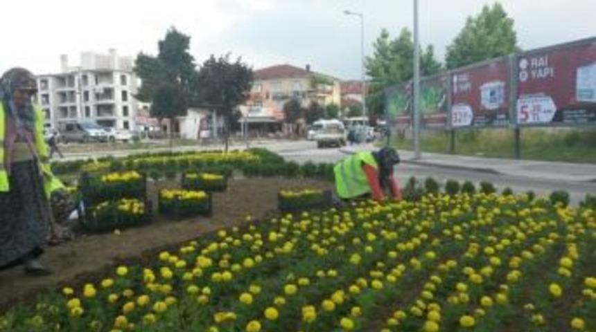 D&uuml;zce Kavşaklarına Rengarenk &Ccedil;i&ccedil;ekler Dikiliyor