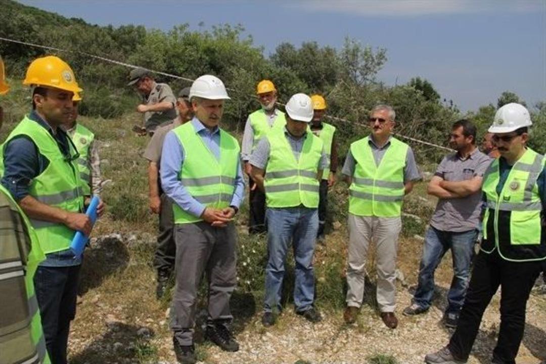 Ormancılar Yabani Zeytinleri Aşılıyor