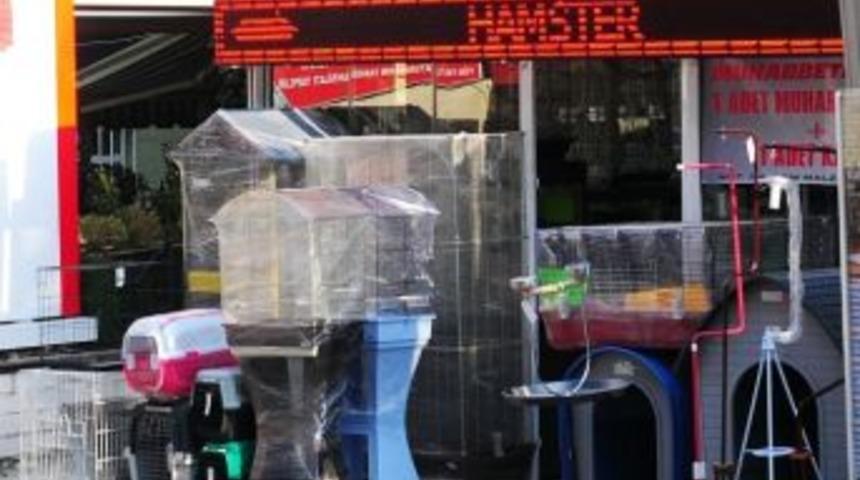 B&uuml;y&uuml;kşehir&rsquo;den Pet-shop Sahiplerine Eğitim