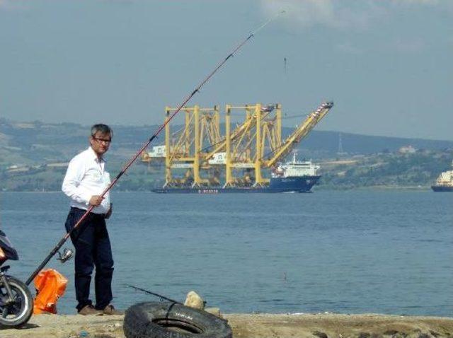 Çanakkale Boğazı'ndan Dev Vinç Geçti