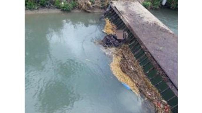 Sulama Kanalına D&uuml;şen Yaşlı Kadın Hayatını Kaybetti