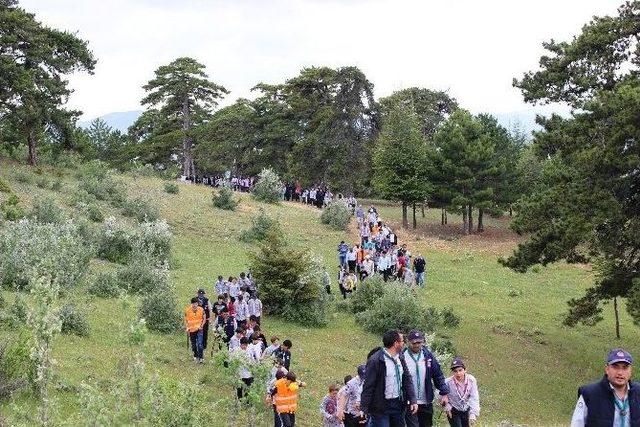 Erdemli Gençlik Kulübünden İzcilik Şenliği