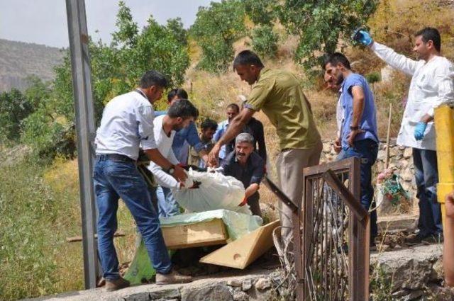 Pkk'lının Mezarı Açılarak Cenazesi Ailesine Teslim Edildi