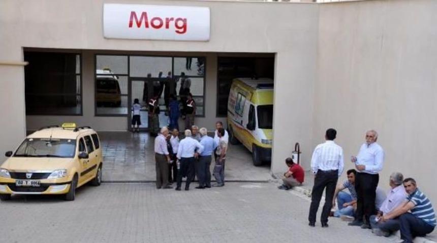 Elektrik Akımına Kapılar &Ccedil;ift&ccedil;i &Ouml;ld&uuml;