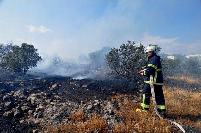 Bodrum’da Makilik Alanda Çıkan Yangın Korkuttu