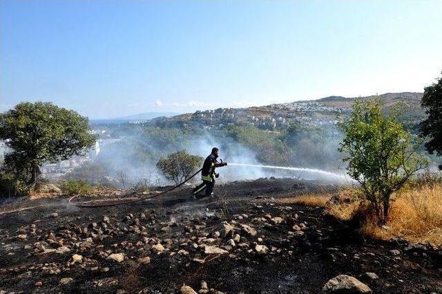 Bodrum’da Makilik Alanda Çıkan Yangın Korkuttu