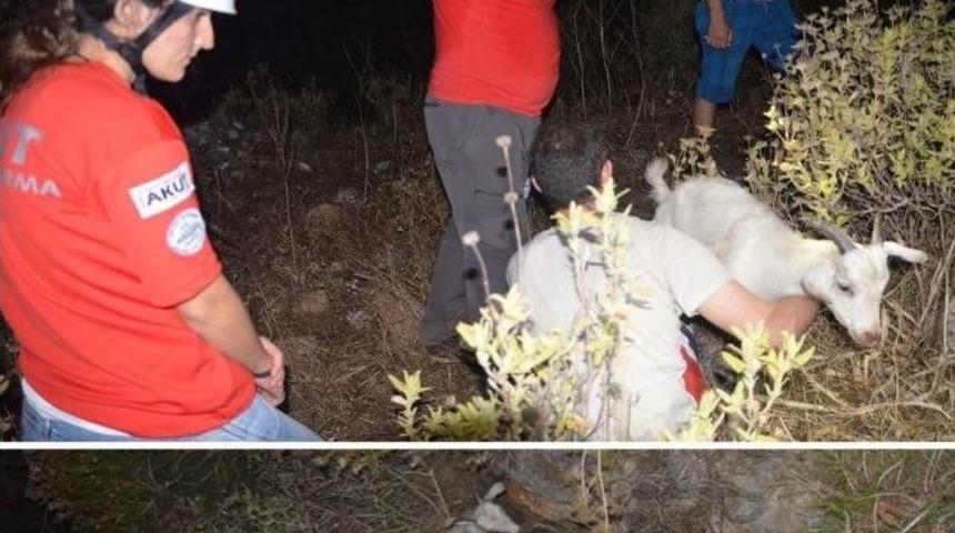 Muğla&rsquo;da Kayalıkta Mahsur Kalan Ke&ccedil;iyi Akut Kurtardı