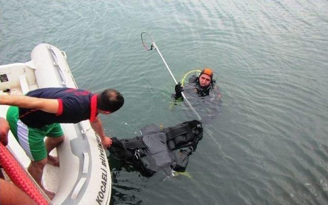 Kocaeli’de Denize Düzeşen Köperk İtfaiye Tarafından Kurtarıldı