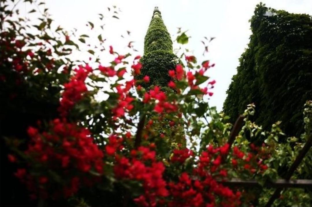 Botanik Bah&ccedil;esi Gibi Cami