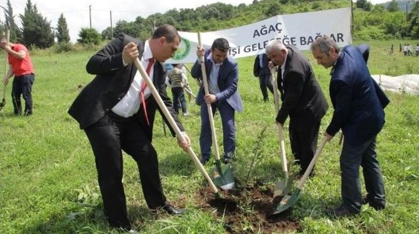 Başiskele&rsquo;ye 4 Bin Ağa&ccedil; Dikildi