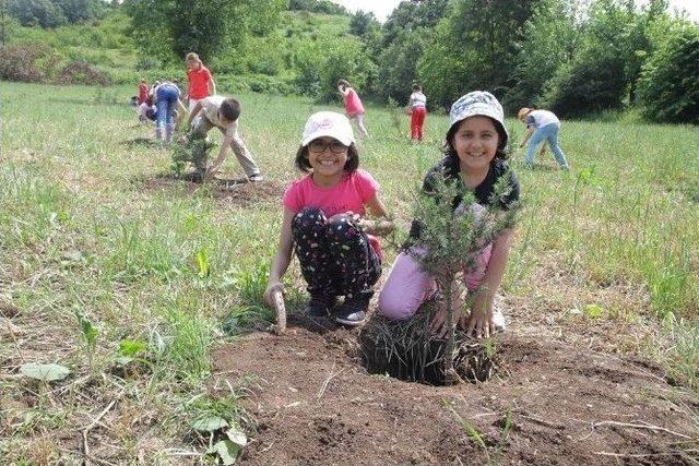 Başiskele&rsquo;ye 4 Bin Ağa&ccedil; Dikildi 1