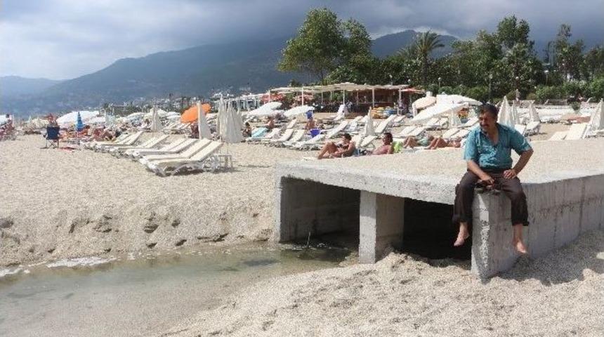 Kleopatra Plajı Kurt&ccedil;uklardan Arındırıldı
