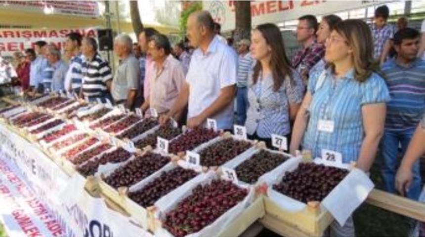 En İyi Kirazlar Pazar G&uuml;n&uuml; Belirlenecek
