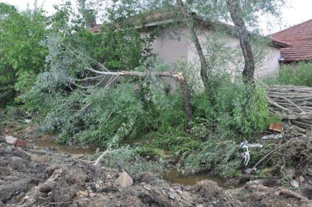 Sorgun'da Dolu Ve Sel;  Ağaçlar Kökünden Söküldü