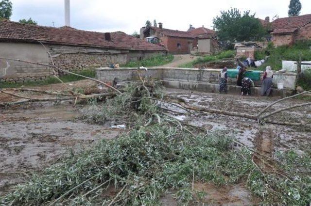 Sorgun'da Dolu Ve Sel;  Ağaçlar Kökünden Söküldü