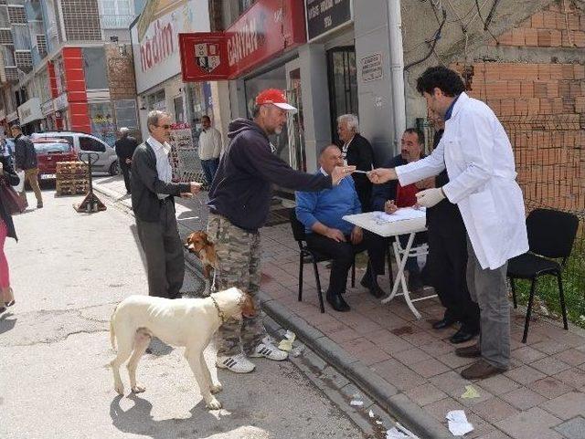 Belediyeden Köpeklere Ücretsiz Kuduz Aşısı Ve Sağlık Kontrolü