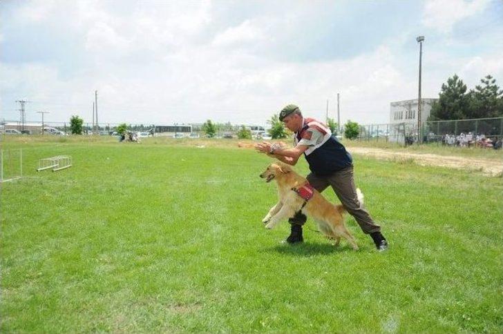 Afyonkarahisar’da “4. Geleneksel Çocuk Oyunları Festivali” G2