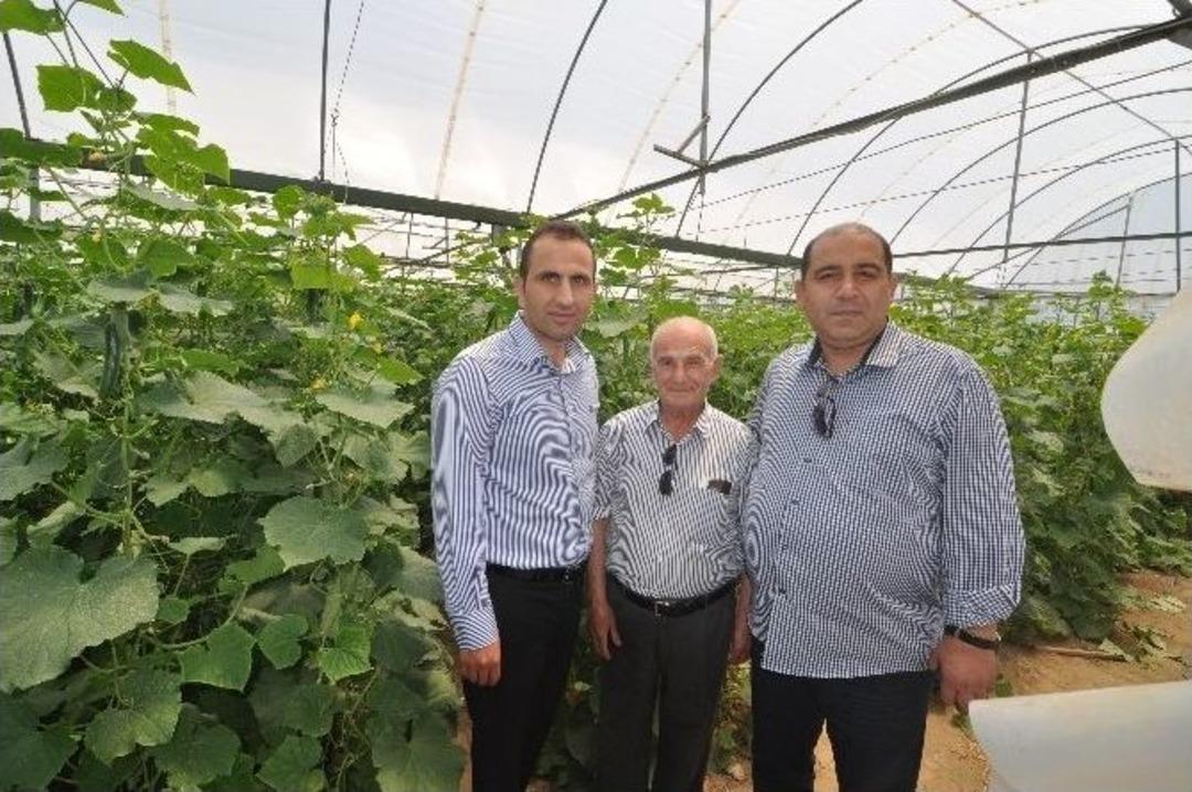 Yatağan&rsquo;da Seracılık Gelişecek