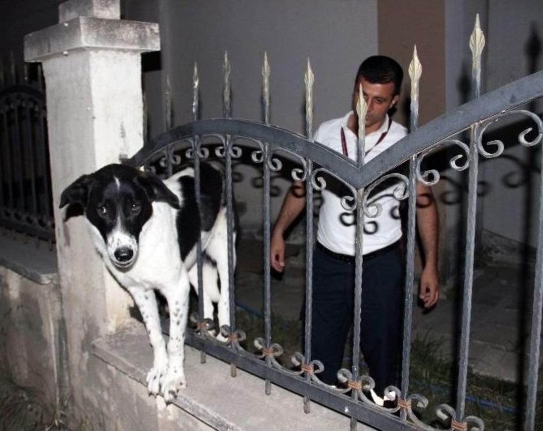 (&ouml;zel Haber) Demir Korkuluğa Sıkışan K&ouml;peği İtfaiye Kurtardı