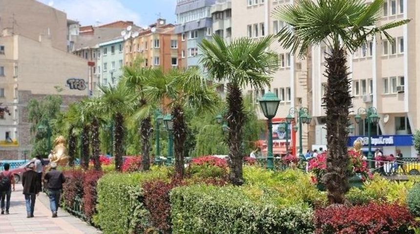 Eskişehir &Ccedil;i&ccedil;ek Bah&ccedil;esi Gibi