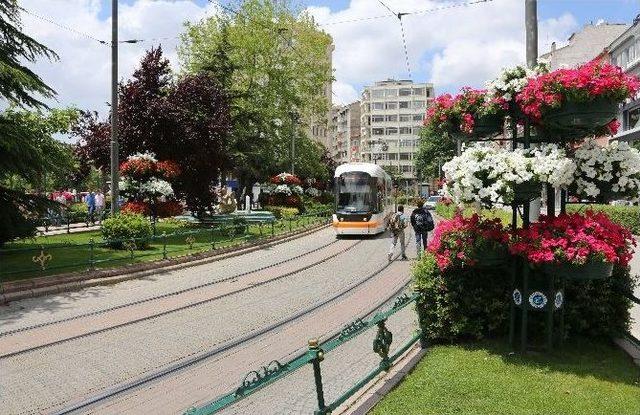 Eskişehir Çiçek Bahçesi Gibi