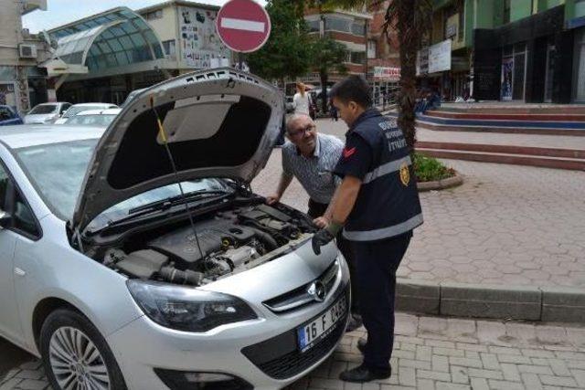 Yavru Kedi Çarşıyı Karıştırdı