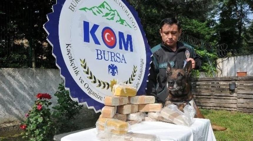 Bursa&rsquo;da 7.5 Kilo Eroin İle Yakalanan 3 Kişi Tutuklandı