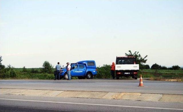 (özel Haber) Tekirdağ’da İçki Yüklü Tır Yola Çıkan Domuz Nedeniyle Devrildi