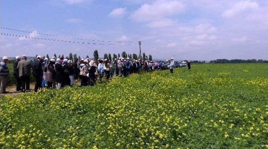 Eskişehir&rsquo;de &ldquo;tarla G&uuml;n&uuml;&rdquo; Etkinliği