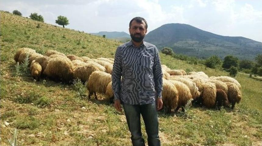 Ette Fiyat Farkı Tartışması