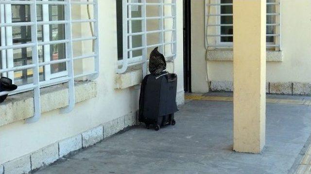 Batman’da Şüpheli Çanta Alarmı 1