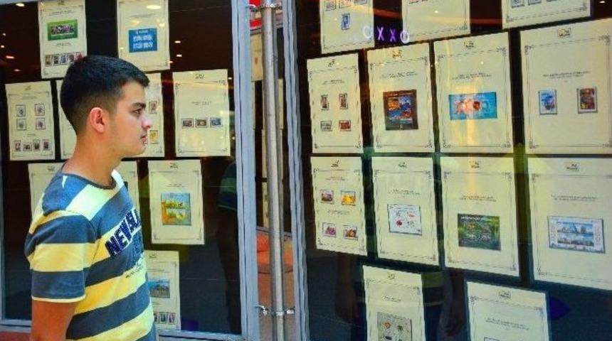 Adana Optimum&rsquo;da Pulların D&uuml;nyasına Yolculuk Devam Ediyor