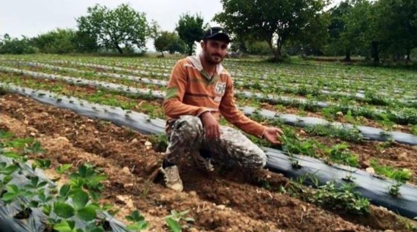&Uuml;retici Barbunyadan Umudu Kesti, &Ccedil;ilek Ekti