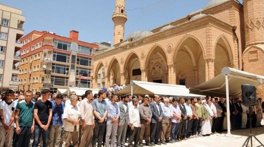 Mardinlilerden Ayta&ccedil; Baran Cinayetine Tepki