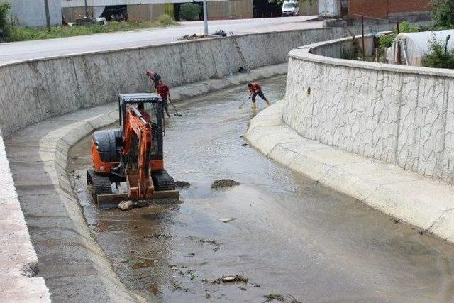 Akçakoca Çivi Deresi Temizleniyor