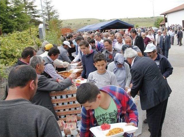 Eldivan Kiraz Festivali Başladı