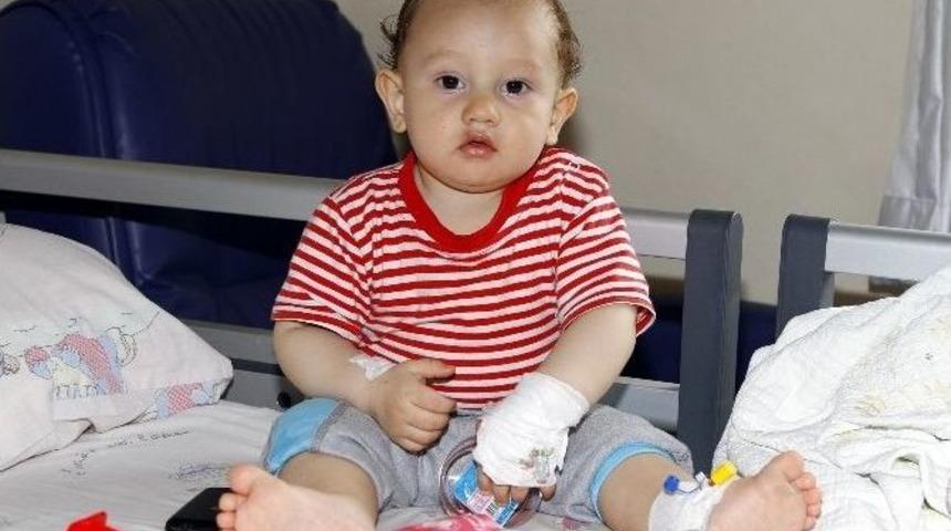 Giresun&rsquo;da Soluk Borusuna Sa&ccedil; Tokası Ka&ccedil;an Bebek Rize&rsquo;de Kurtarıldı