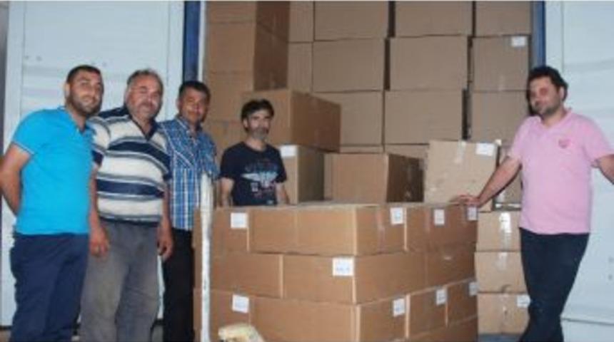 İhracatını Yanlışlıkla Sahte Epal Paletlerle Yapan Firmaya Hollanda&rsquo;dan B&uuml;y&uuml;k Şok