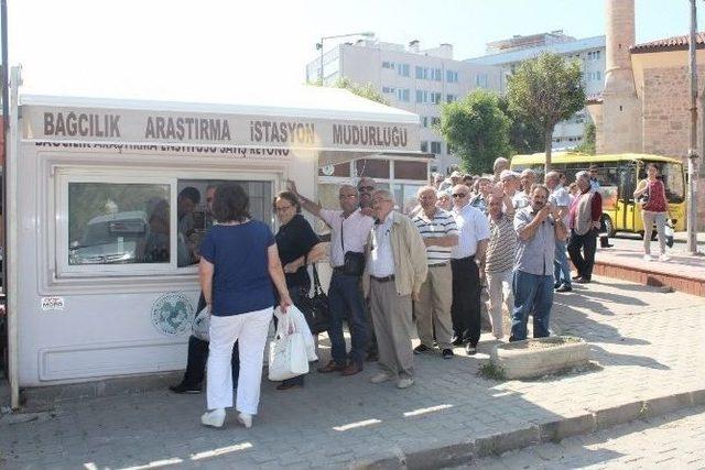 Vatandaşlar Kiraz İçin Kuyruğa Girdi