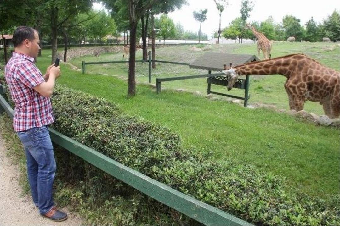 Bursa Hayvanat Bah&ccedil;esi&rsquo;ne Ziyaret&ccedil;i Akını